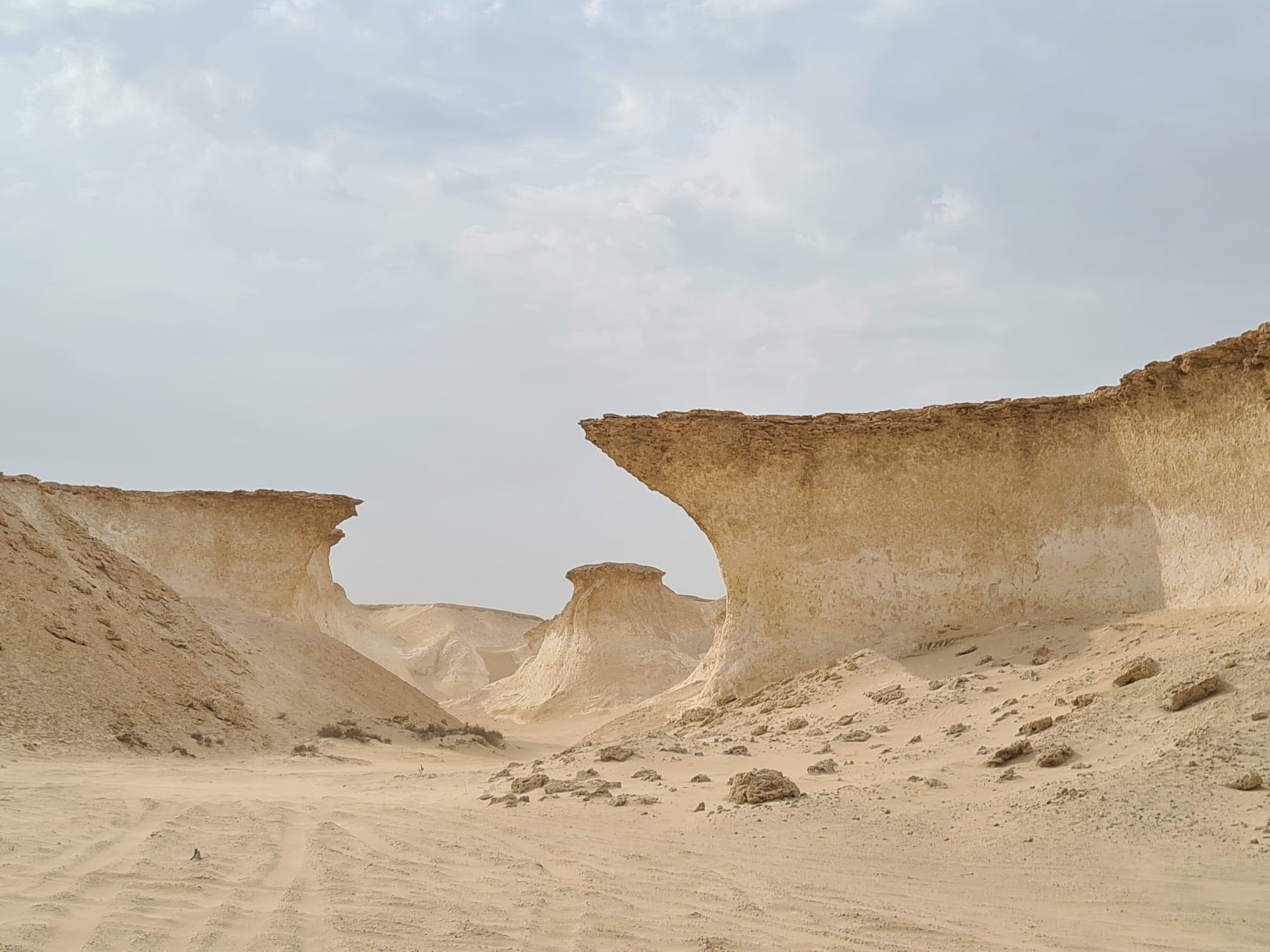 West Coast Zekreet Tour