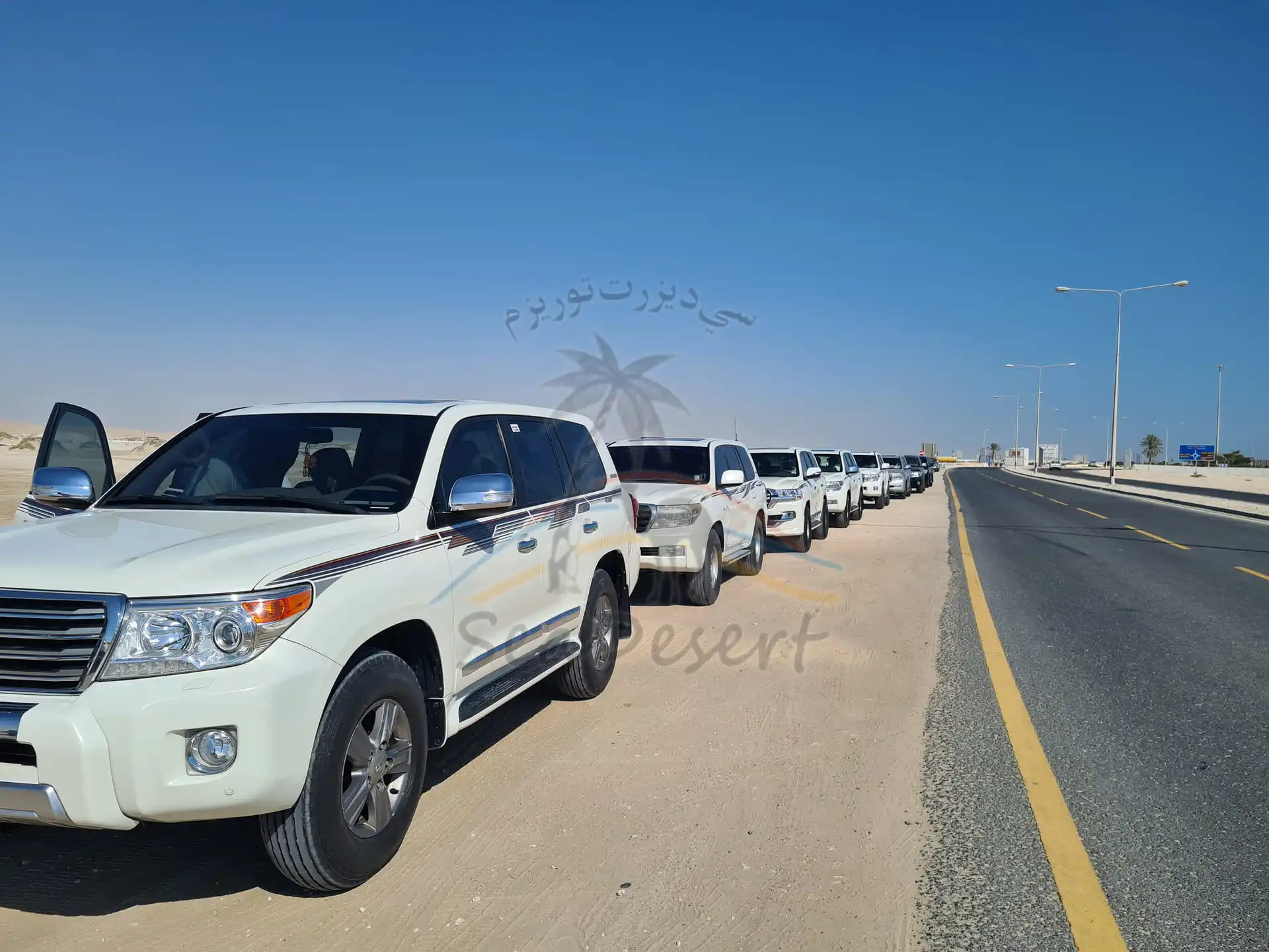 Desert Safari (Half Day)