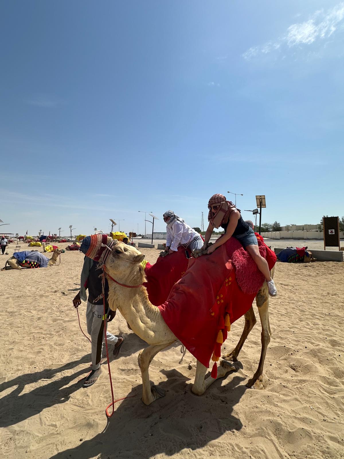Full Day Desert Safari Tour