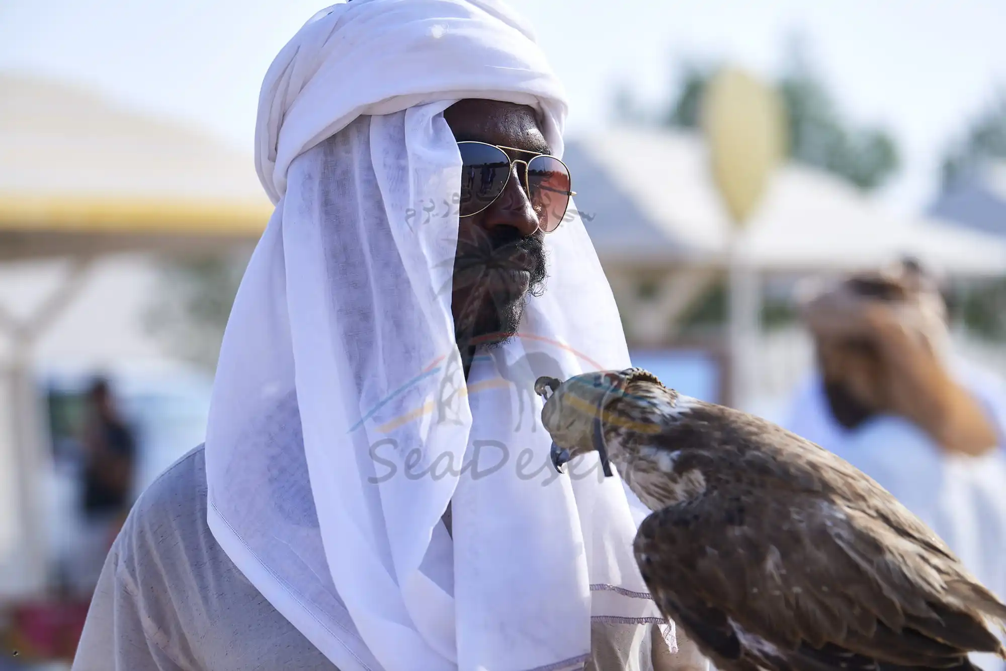 Full Day Desert Safari Tour