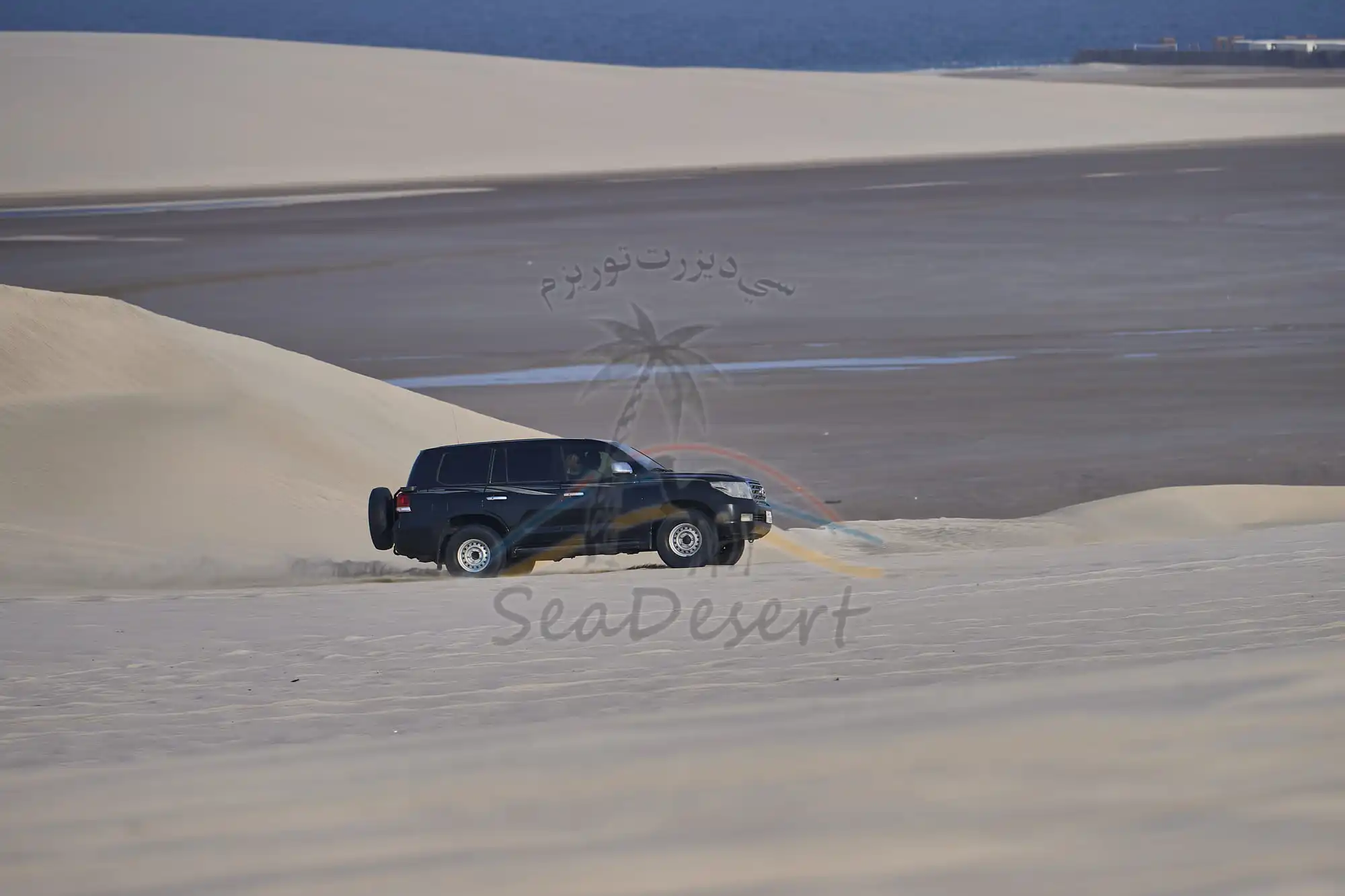 Full Day Desert Safari Tour