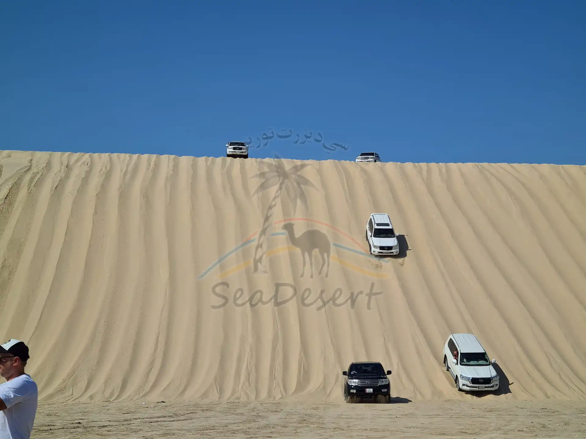 Full Day Desert Safari Tour