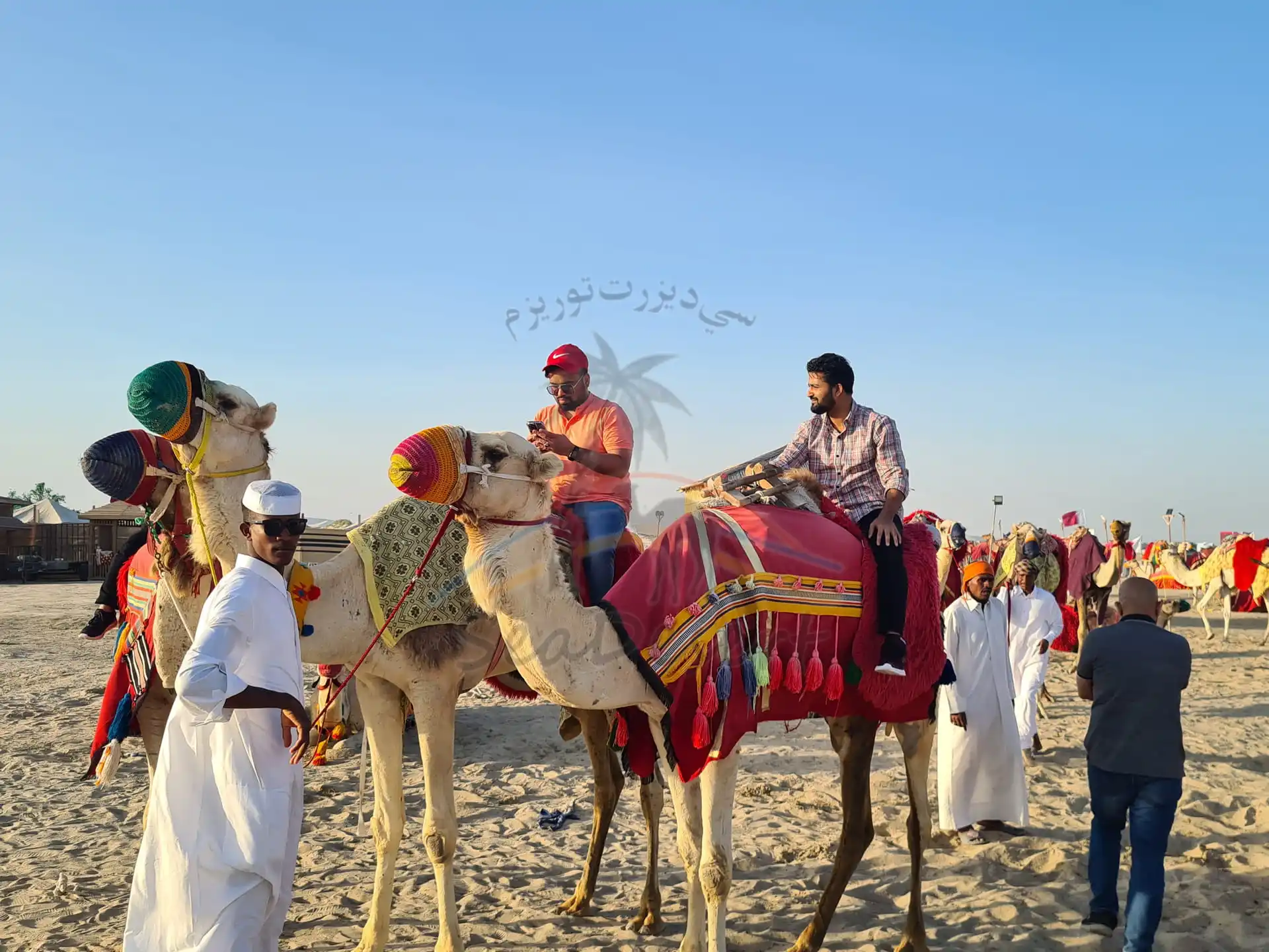 Half Day Desert Safari Tour